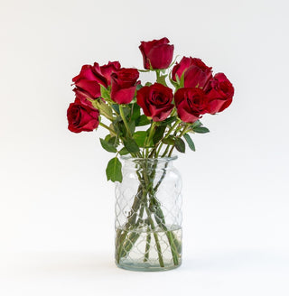 Letterbox Roses Bordeaux | 35Cm Length
